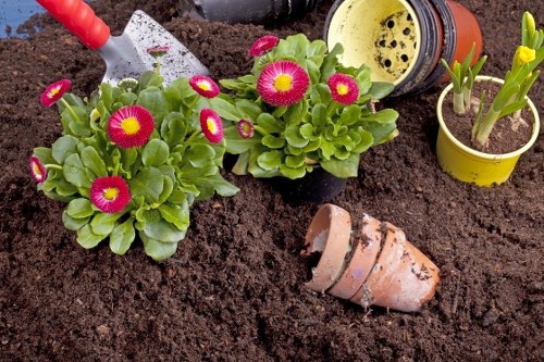 Professional planting services in a Millbank garden