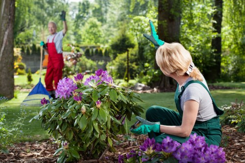 Landscape gardeners designing a Millbank garden space