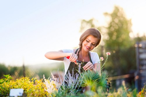 Manager assessing modern slavery risk in a landscaping supply chain