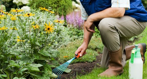 Modern landscape gardening in Millbank featuring clean lines and decorative planting