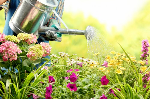 Professional Millbank landscaping details with elegant garden layout and greenery