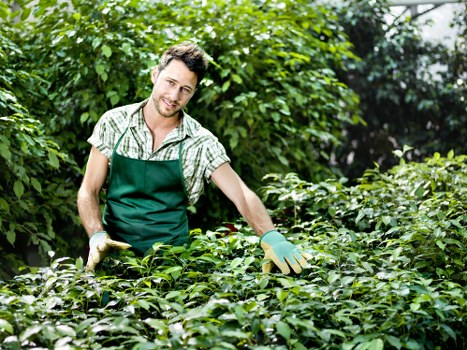 Seasonal planting ideas for landscape gardening in Millbank with evergreen structure