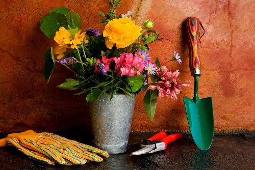Professional garden maintenance in Millbank for healthy plants and tidy patios