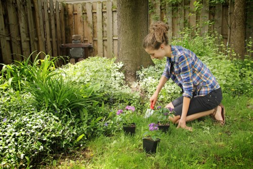 Sustainable landscape design in Millbank with privacy planting and hardscaping