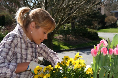 Expert planting design for a Millbank property