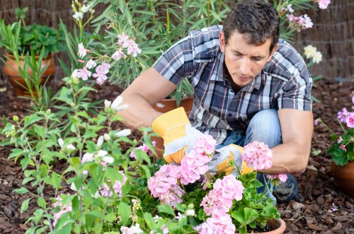 Supervisor checking safe working conditions on a landscaping site